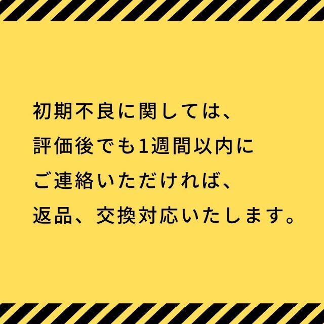 自作耳型バイノーラルマイク｜耳かきASMR用マイクに最適です！ 楽器のレコーディング/PA機器(マイク)の商品写真