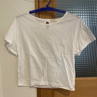 パターンフィオナ(PATTERN fiona)のパターンフィオナ　半袖Tシャツ(Tシャツ(半袖/袖なし))
