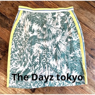 ザデイズトウキョウ(The Dayz tokyo)のThe Dayz tokyo ザデイズ　スカート サイズ36(ミニスカート)