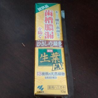 コバヤシセイヤク(小林製薬)の生葉 歯磨き粉 試供品(歯磨き粉)