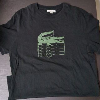 ラコステTシャツ　Ｍ(シャツ)