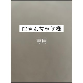 ポケモン(ポケモン)のポケモンカード　にゃんちゅう様　専用(Box/デッキ/パック)