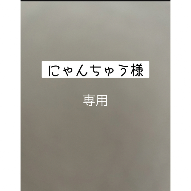 ポケモンカード　にゃんちゅう様　専用