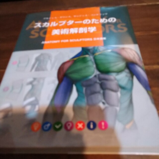 スカルプターのための美術解剖学 ＡＮＡＴＯＭＹ　ＦＯＲ　ＳＣＵＬＰＴＯＲＳ日本語エンタメホビー