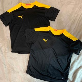 プーマ(PUMA)のキッズ　子供　プーマ　130cm 2枚セット(Tシャツ/カットソー)