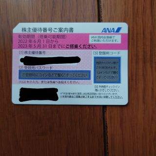 エーエヌエー(ゼンニッポンクウユ)(ANA(全日本空輸))のANA株主優待券 2023/5/31まで(その他)