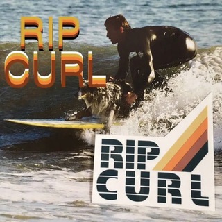 リップカール(Rip Curl)のRIPCURLリップカールUS限定型抜きデザインロゴステッカー(サーフィン)