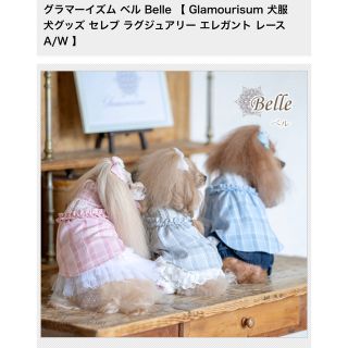 グラマーイズム ベル Belle 新品 ブルー Sサイズの通販 by みきき's ...