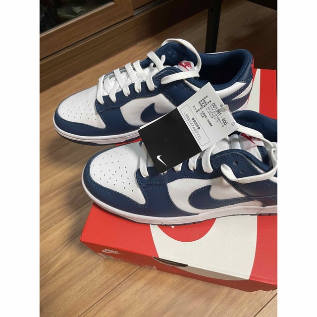 NIKE DUNK LOW RETRO バレリアンブルー　28cm