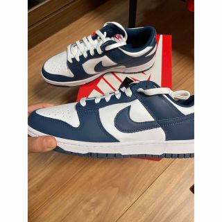 NIKE DUNK LOW RETRO バレリアンブルー　28cm