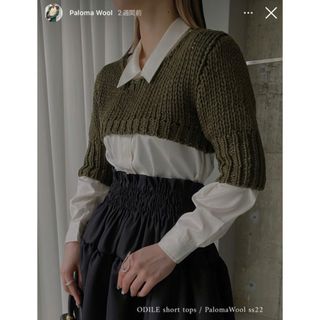 エディットフォールル(EDIT.FOR LULU)のpalomawool トップス(カットソー(半袖/袖なし))