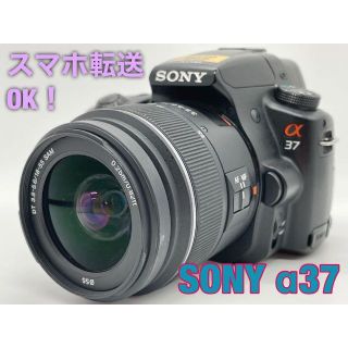 スマホ転送OK! SONY α37 一眼レフカメラ 標準レンズセット #1323-