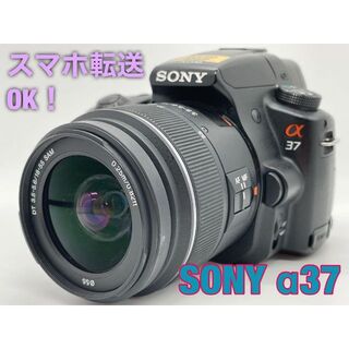 SONY - スマホ転送OK! SONY α37 一眼レフカメラ 標準レンズセット #1323