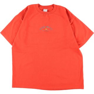 リンガー　Tシャツ　Ocean pacific billabong 90 水色