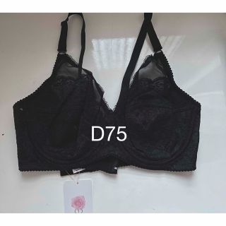 ダイアナ(DIANA)の新品　D75(ブラ)