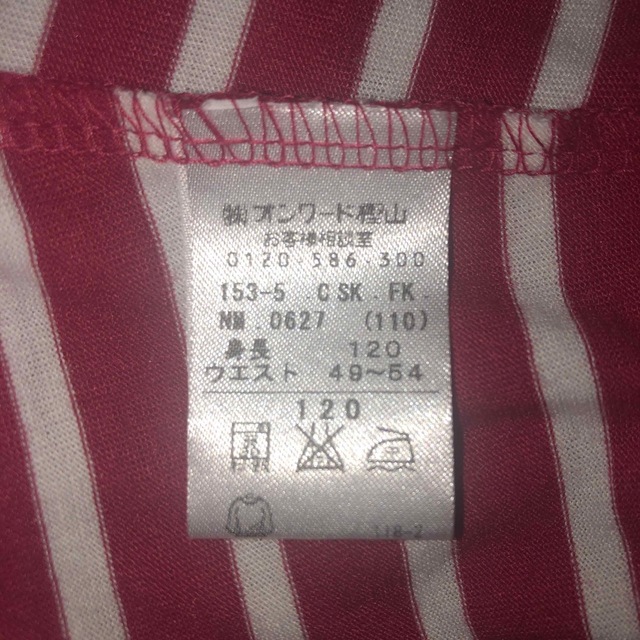 anyFAM(エニィファム)の女の子スカート（120） キッズ/ベビー/マタニティのキッズ服女の子用(90cm~)(スカート)の商品写真