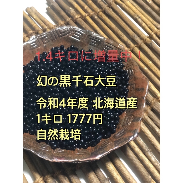 ブリヤンテス・レッド 北海道産 幻の黒千石大豆 R4 - 通販 - anubanssk