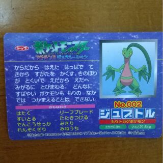 ポケモンカード ジュプトル(シングルカード)