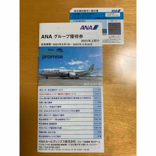 エーエヌエー(ゼンニッポンクウユ)(ANA(全日本空輸))のANA株主優待券(その他)