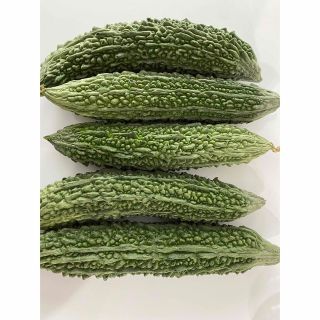 鹿児島県産　ゴーヤ(野菜)