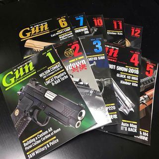 ホビージャパン(HobbyJAPAN)のGun Professionals 2018年10冊セット(その他)