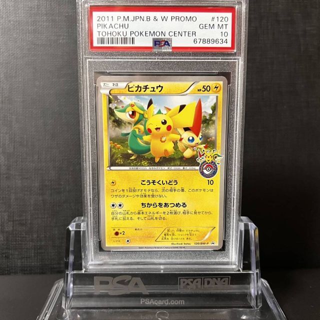 人気沸騰ブラドン ポケモン - プロモ トウホク 120/BW-P ピカチュウ
