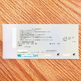 ★東京蚤の市 6月2日(金) 入場券/チケット★(その他)