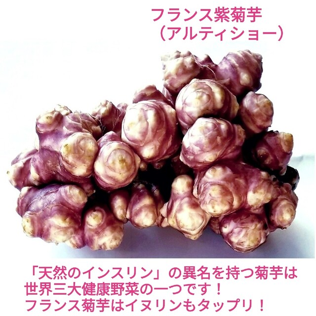 フランス紫菊芋パウダー１００g　きくいも　  キクイモ　天然のインスリン　健康 食品/飲料/酒の食品(その他)の商品写真