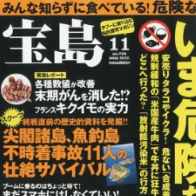 フランス紫菊芋パウダー１００g　きくいも　  キクイモ　天然のインスリン　健康 食品/飲料/酒の食品(その他)の商品写真