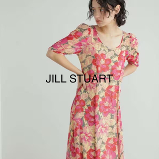 ジルスチュアート(JILLSTUART)の2023SSJILLSTUARTヴィンテージフラワーワンピース(ロングワンピース/マキシワンピース)