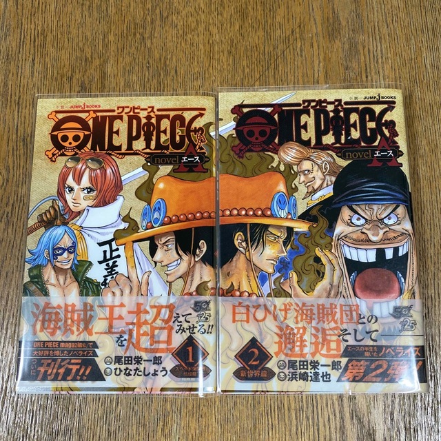 りり様専用 ONE PIECE novel Aエース 1巻2巻セット！ エンタメ/ホビーの本(文学/小説)の商品写真