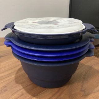 タッパーウェア(TupperwareBrands)のTupperware マイクロスチーマーミニ(調理道具/製菓道具)