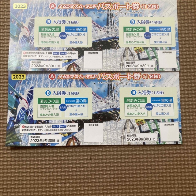 ナガシマスパーランド パスポート券２名分＋共通金券1000円分 12月末まで有効