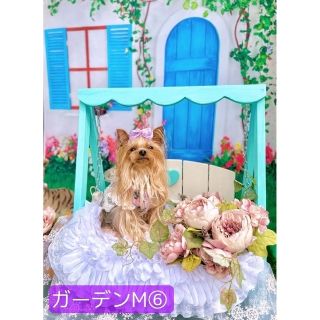 背景布×5枚+1 ペット撮影用フォトブース フェルトトリミングチョーカー