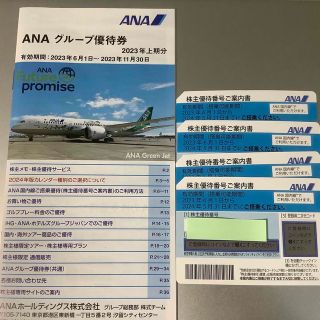 エーエヌエー(ゼンニッポンクウユ)(ANA(全日本空輸))のANA株主優待券4枚＋グループ優待券1冊(航空券)