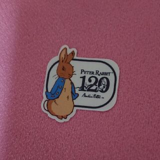 ピーターラビット(PETER RABBIT（TM）)のピーターラビット(キャラクターグッズ)