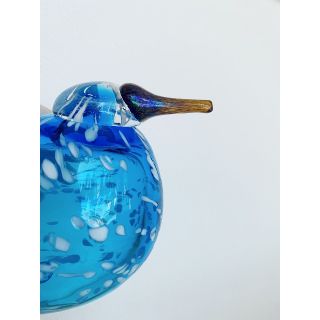 Blue Finch ブルーフィンチ 新品 箱付き 北米限定 イッタラバード