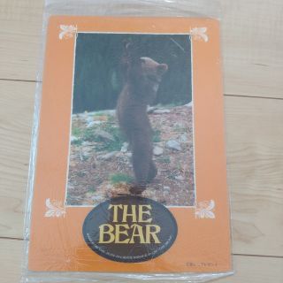 下敷き 小熊物語 THE BEAR 映画 グッズ(キャラクターグッズ)