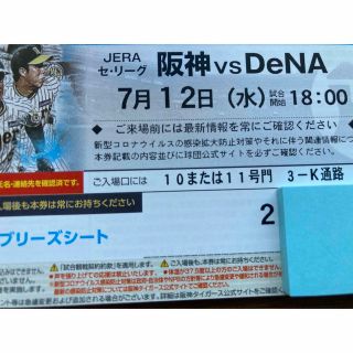 ハンシンタイガース(阪神タイガース)の7/12(水)阪神-DeNA　ブリーズシート通路横ペア(野球)