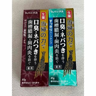 生薬　当帰の力　85g×20本　薬用塩歯磨き　SUNSTAR