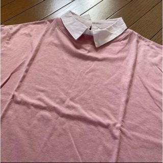 スピンズ(SPINNS)の【SPINNS】襟付きTシャツ／スピンズ(Tシャツ(半袖/袖なし))