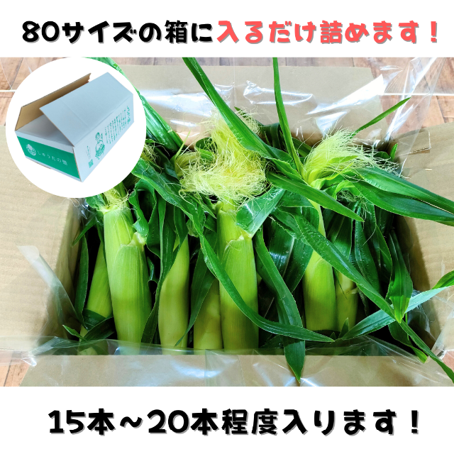 【今の時期 限定！！】旬の朝採り新鮮ヤングコーン　約15～20本入り【送料無料】 食品/飲料/酒の食品(野菜)の商品写真