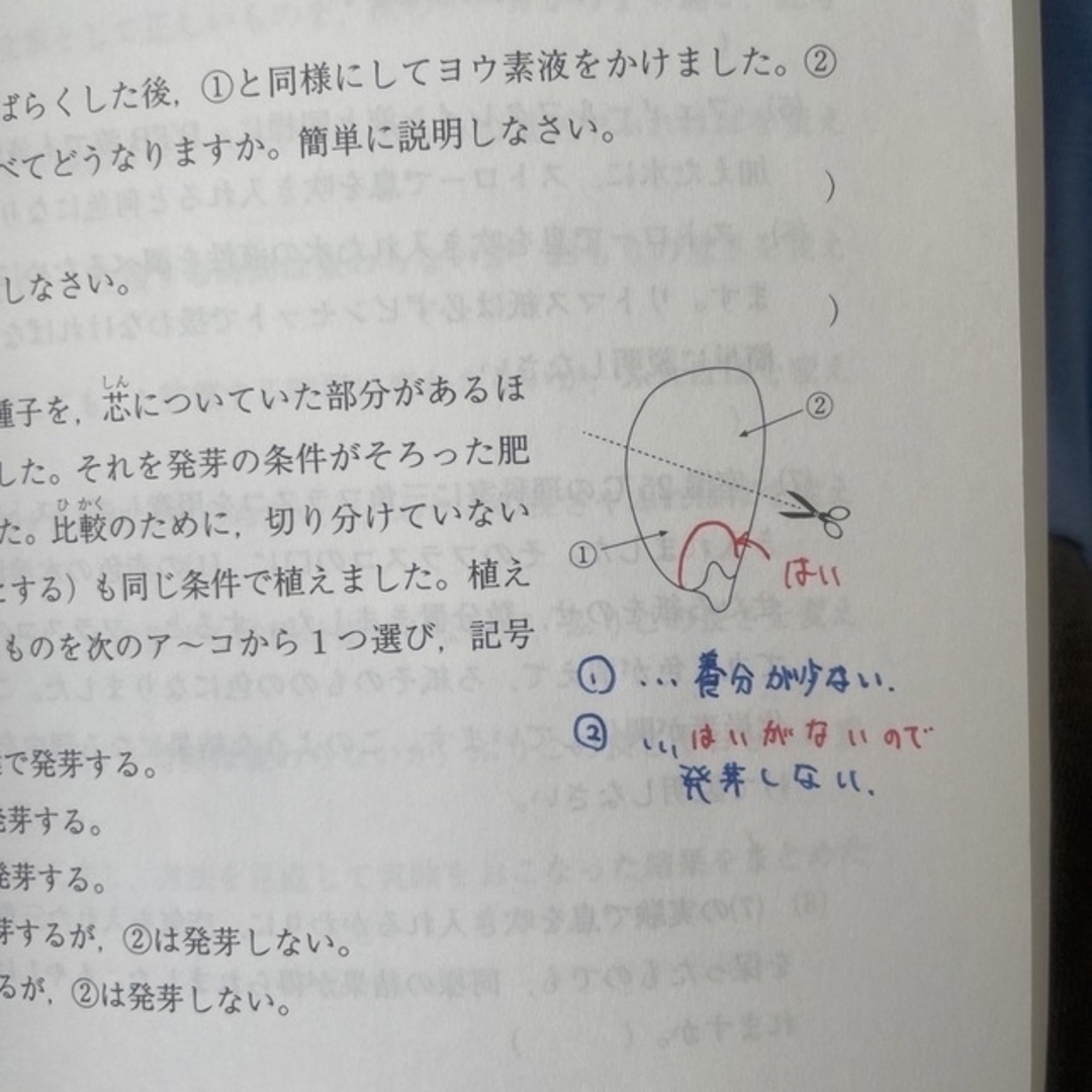 国公立中学入試問題集　2021&2022年実施 エンタメ/ホビーの本(語学/参考書)の商品写真