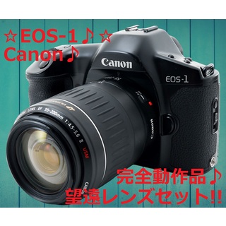 Canon - 美品♪☆フイルムカメラ入門機種としても最高☆ Canon EOS-1 #5298
