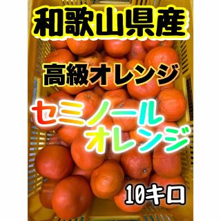 【高級オレンジ・セミノール】和歌山県産10キロ【訳あり品】(フルーツ)