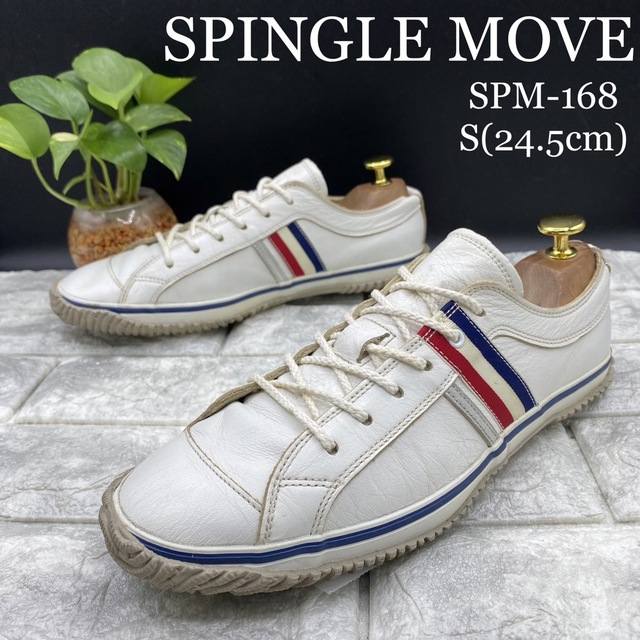 SPINGLE MOVE(スピングルムーブ)のSPINGLE MOVE スピングルムーブ SPM168 トリコロール 24.5 レディースの靴/シューズ(スニーカー)の商品写真