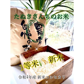 たぬきさんちのお米 新潟県産コシヒカリ10kg(米/穀物)