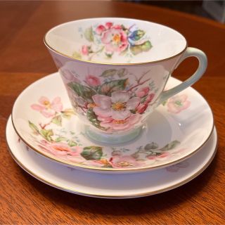 ロイヤルドルトン(Royal Doulton)の【英国ビンテージ】ロイヤルドルトン★アップルブロッサム★トリオ　②(食器)