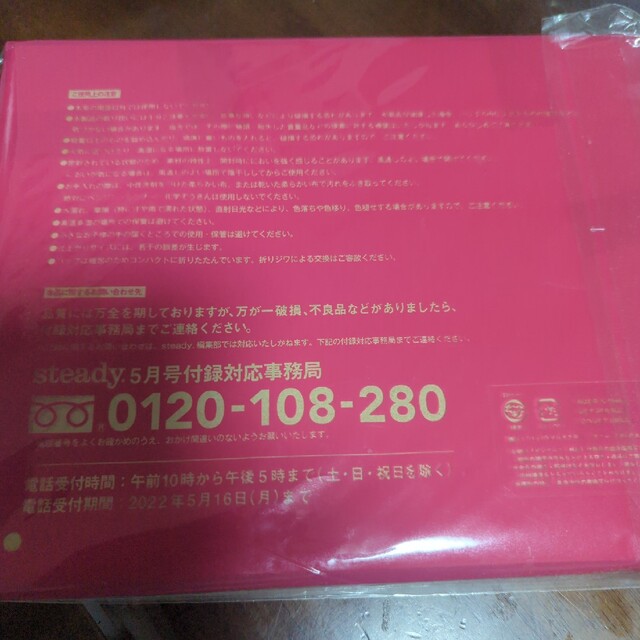 宝島社(タカラジマシャ)のSteady　保冷バッグ インテリア/住まい/日用品の日用品/生活雑貨/旅行(日用品/生活雑貨)の商品写真