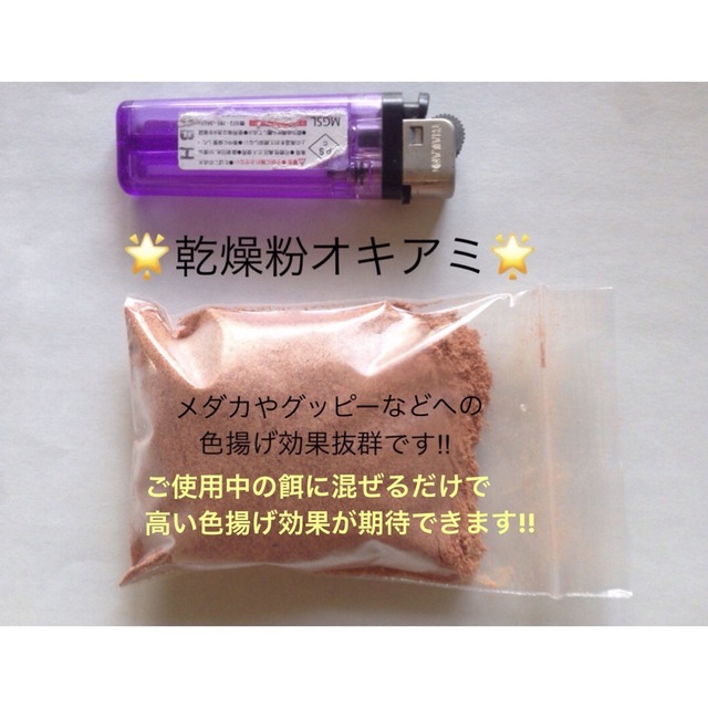 色揚げ用メダカ グッピーのエサ （乾燥粉オキアミ）20g   その他のペット用品(アクアリウム)の商品写真